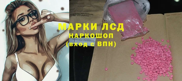 шишки Белокуриха