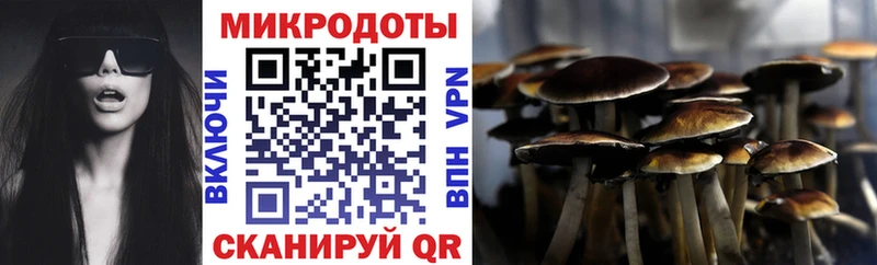 закладка omg Галлюциногенные грибы Cubensis Среднеколымск